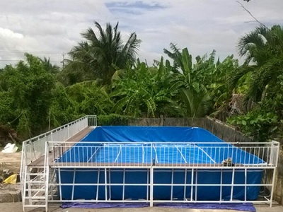 Hồ bơi di động